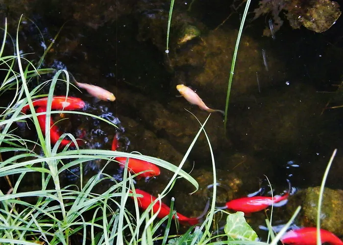 Lägenhet Aranyhal *