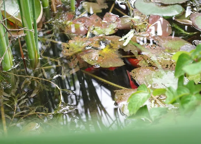 Lägenhet Aranyhal Hévíz